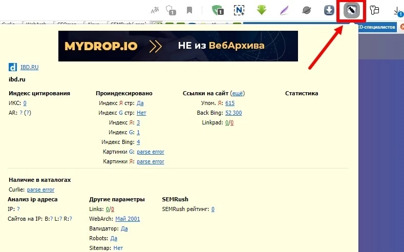 RDS Bar - полезный инструмент для вебмастеров и оптимизаторов