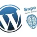 Установка кода SAPE на WordPress