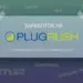 Заработок на PLUGRUSH. От добавления сайта до вывода денег