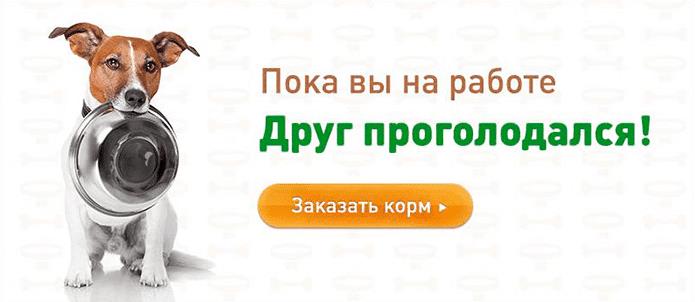 Пример статичного баннера