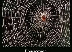 SEO — внутренняя перелинковка сайта