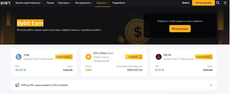 ByBit Earn