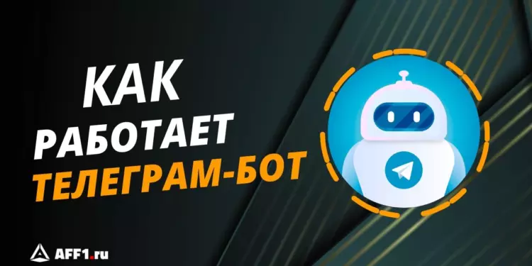 Как работает Телеграм-бот: все, что вы хотели знать, но боялись спросить