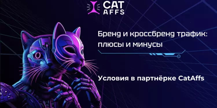 Всё, что вы должны знать о брендовом и кросс-брендовом трафике. Плюсы, минусы и условия в партнёрке CatAffs