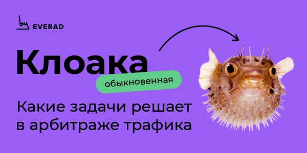 Клоака: какие задачи решает в арбитраже трафика