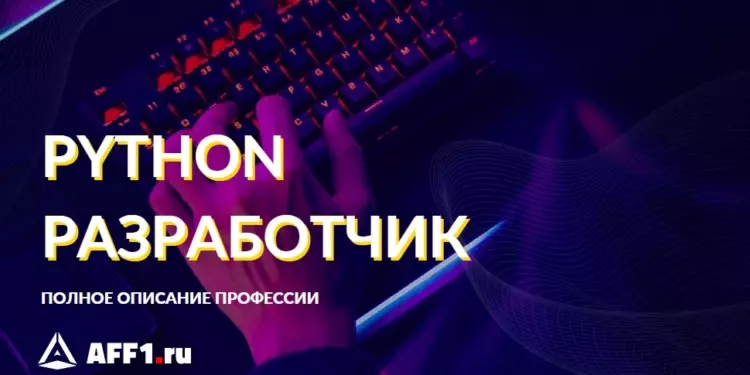 Кто такой Python-разработчик и как им стать