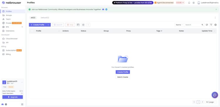 Главный раздел личного кабинета nstbrowser.io