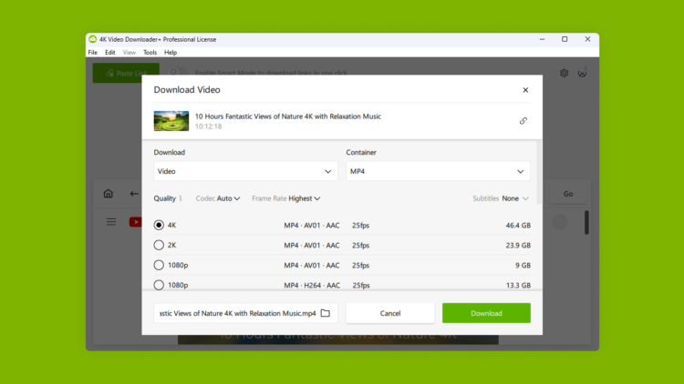 4K Video Downloader Plus