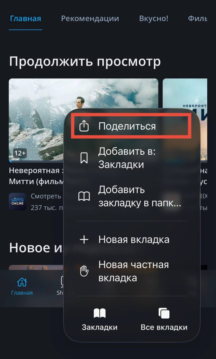 Нажатие кнопки "Поделиться" позволит сделать ярлык Rutube на основном экране айфона